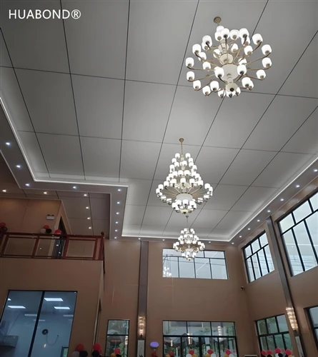 hotel yueyang juntian (panel de nido de abeja de aluminio)
